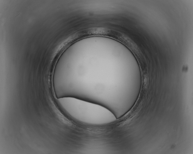 X0000093720725200710160750
