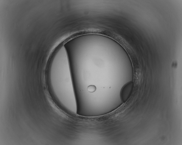 X0000093720726200710160750
