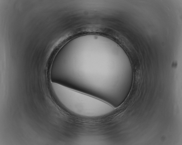 X0000093720727200710160750
