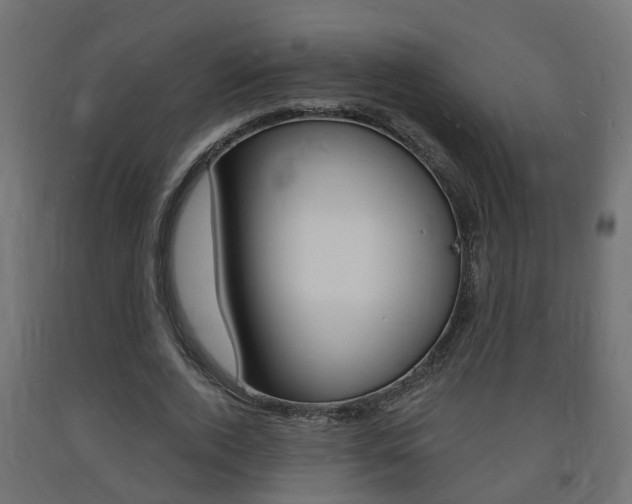 X0000093720728200710160750