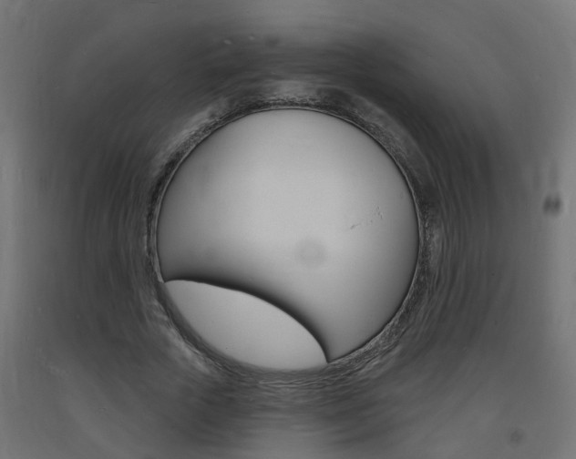 X0000093720729200710160750