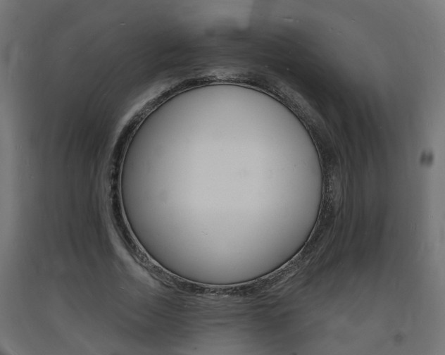 X0000093720730200710160750