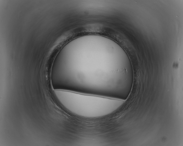 X0000093720731200710160750