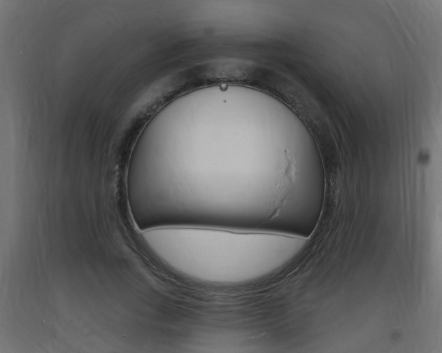 X0000093720735200710160750