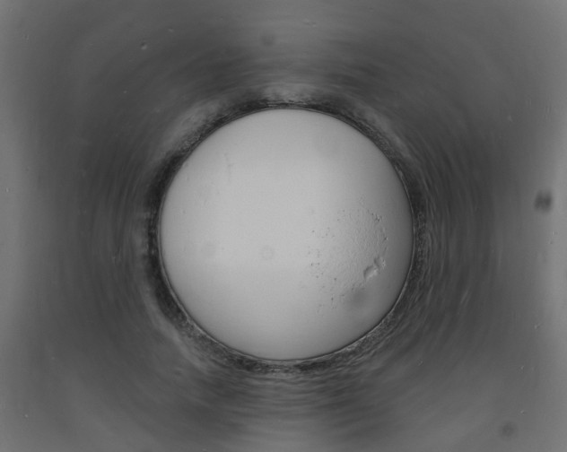 X0000093720738200710160750