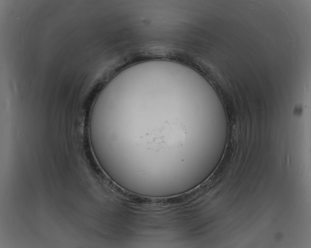 X0000093720739200710160750