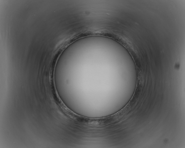 X0000093720740200710160750
