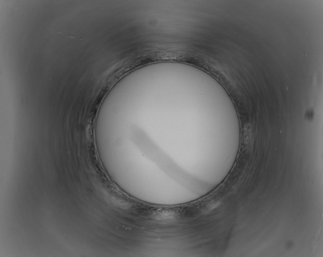 X0000093720741200710160750