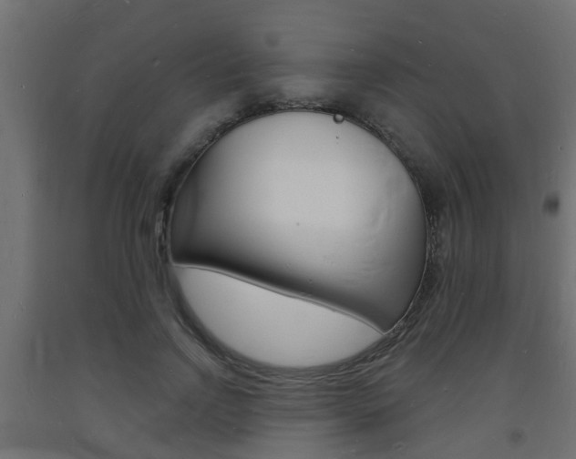 X0000093720742200710160750