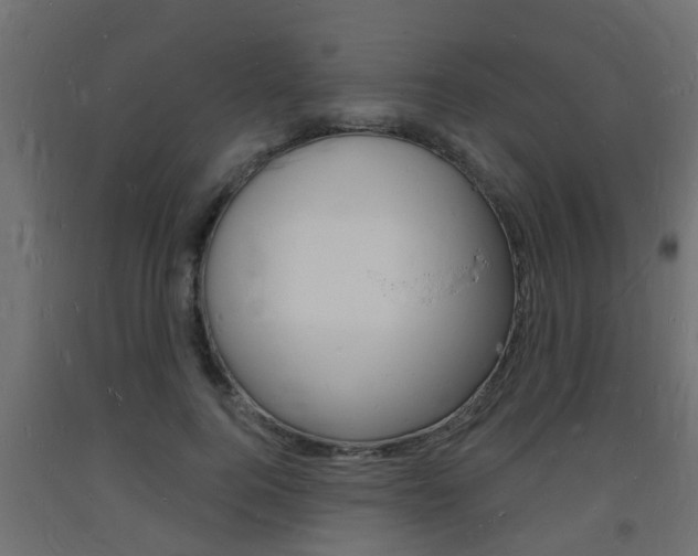 X0000093720744200710160750