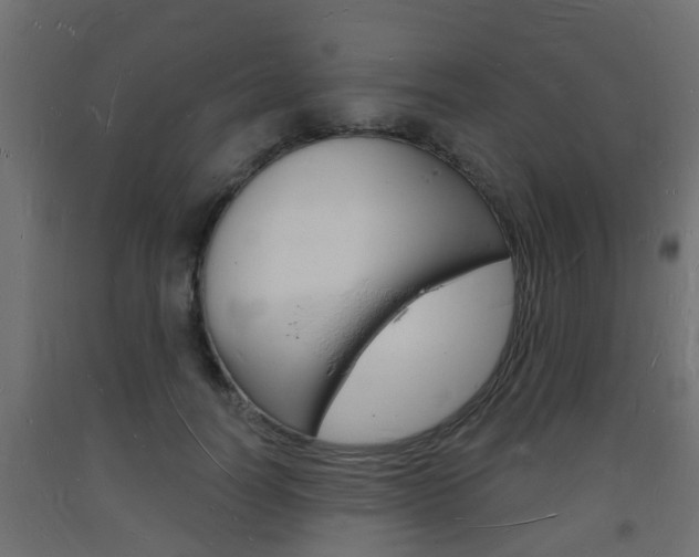X0000093720746200710160750