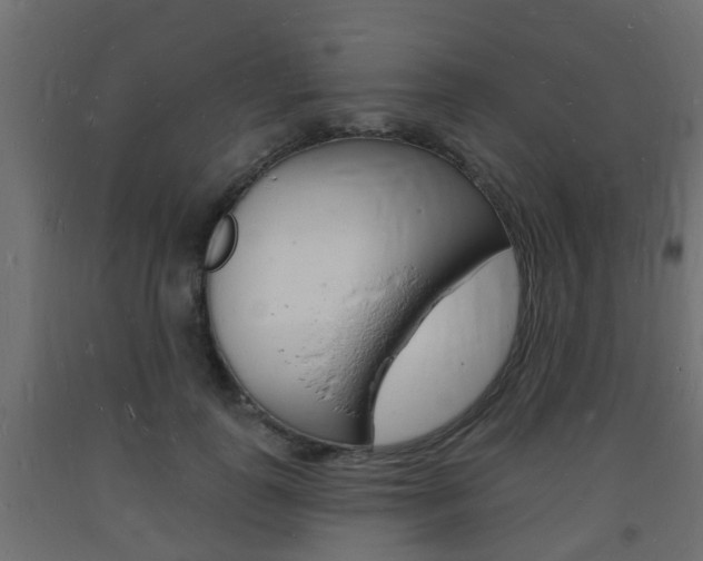 X0000093720747200710160750