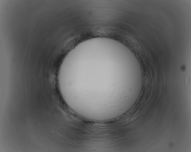 X0000093720749200710160750