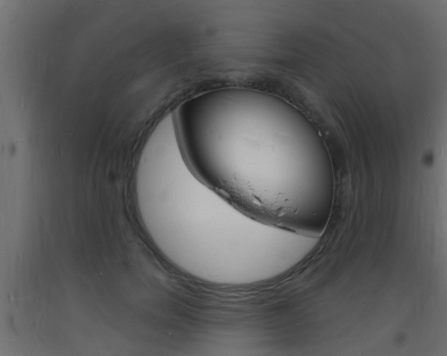 X0000093720750200710160750