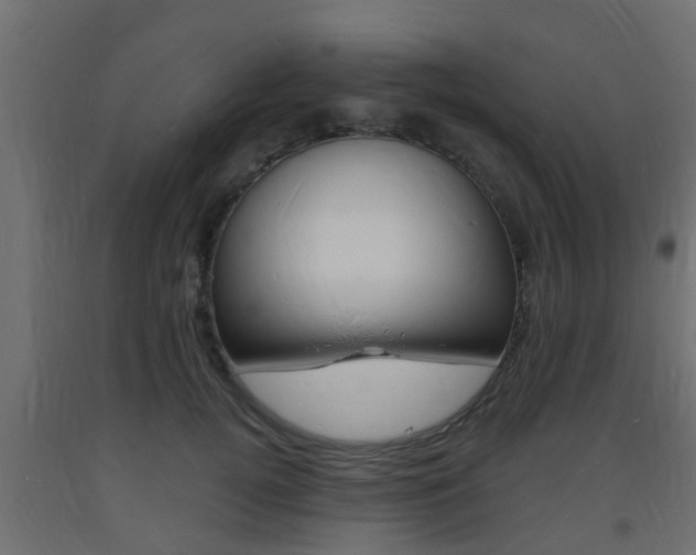 X0000093720752200710160750