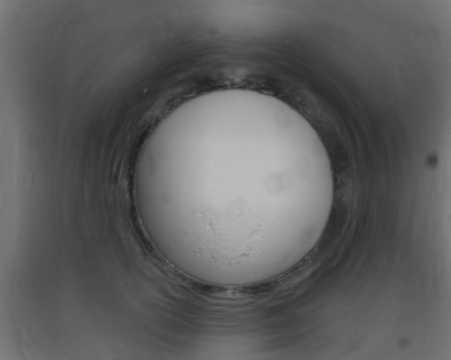 X0000093720754200710160750