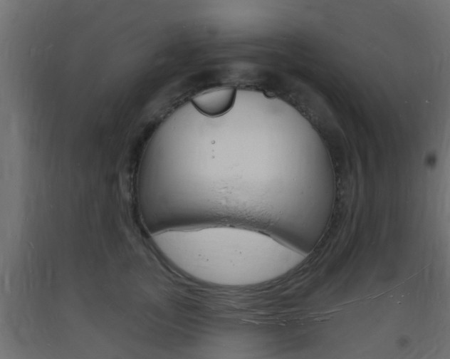 X0000093720755200710160750