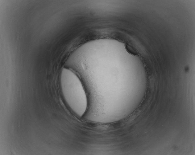 X0000093720757200710160750