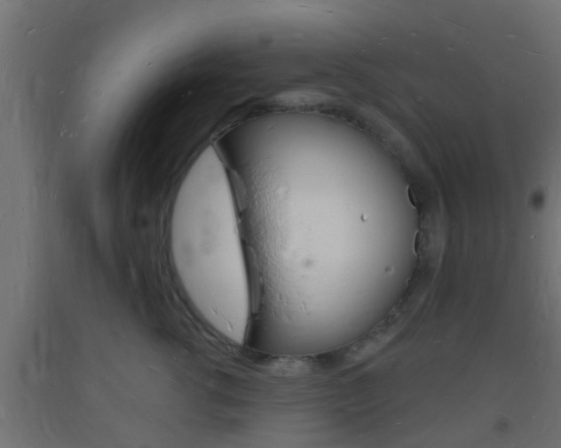 X0000093720762200710160751
