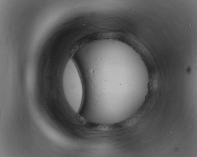X0000093720764200710160751