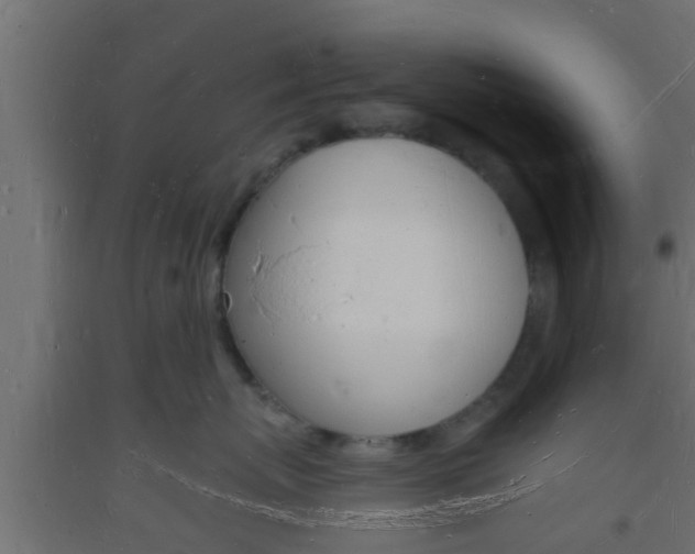 X0000093720767200710160751