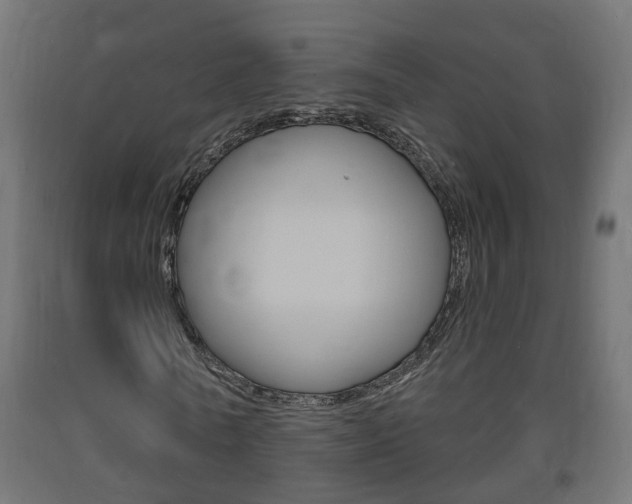 X0000093720770200710160750