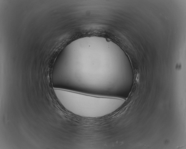X0000093720771200710160750