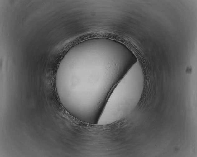 X0000093720773200710160750