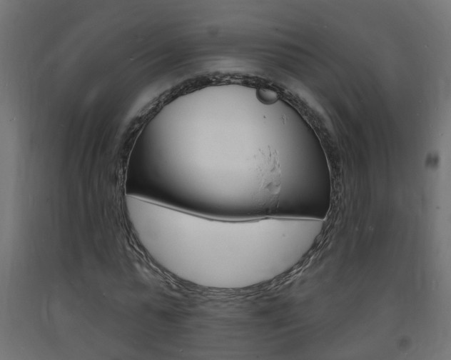 X0000093720775200710160750