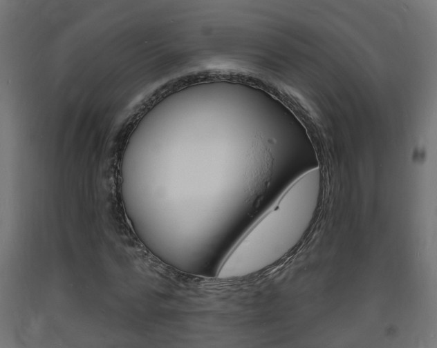 X0000093720776200710160750