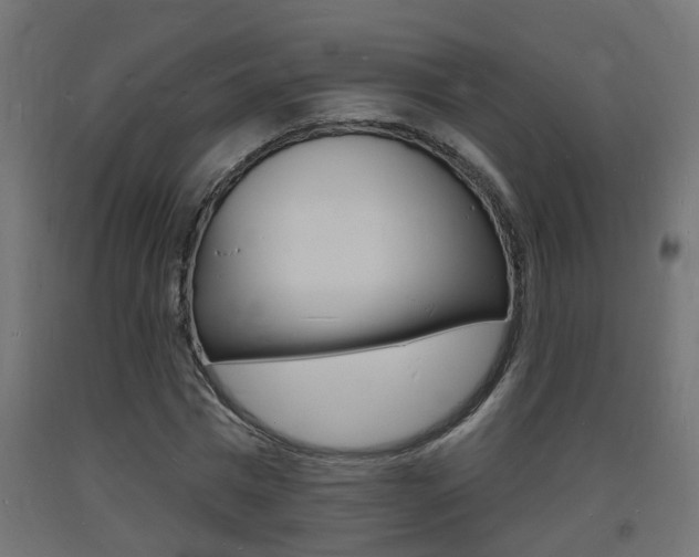 X0000093720777200710160750