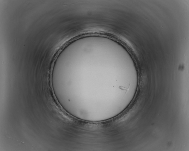 X0000093720778200710160750