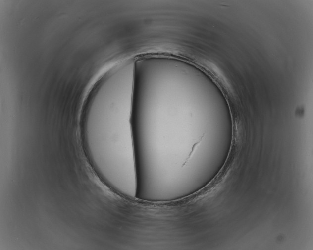 X0000093720780200710160750
