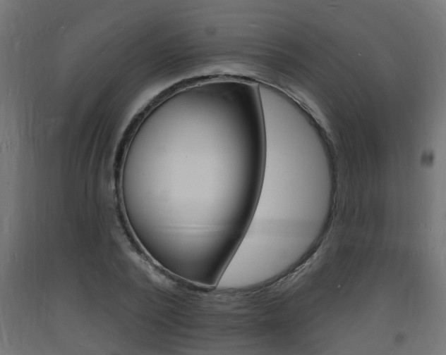 X0000093720784200710160749