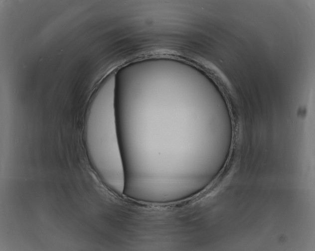 X0000093720785200710160749