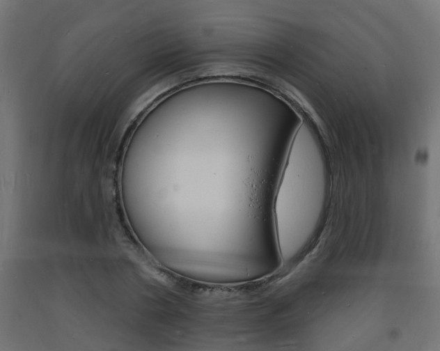 X0000093720786200710160749