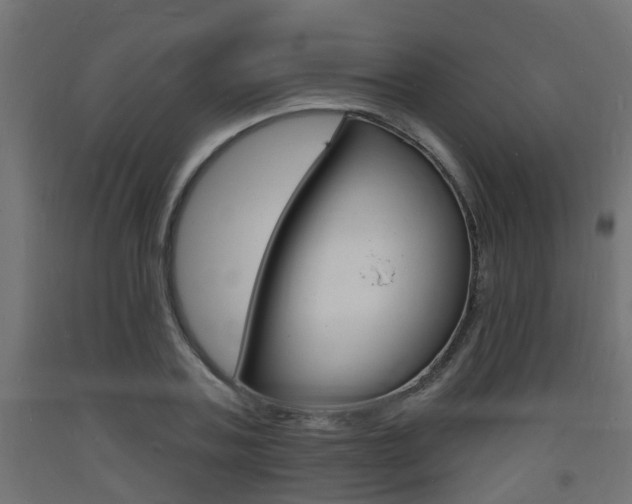X0000093720787200710160749