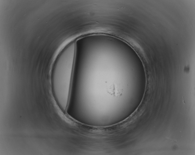 X0000093720792200710160749