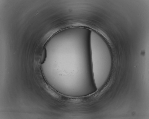X0000093720793200710160749