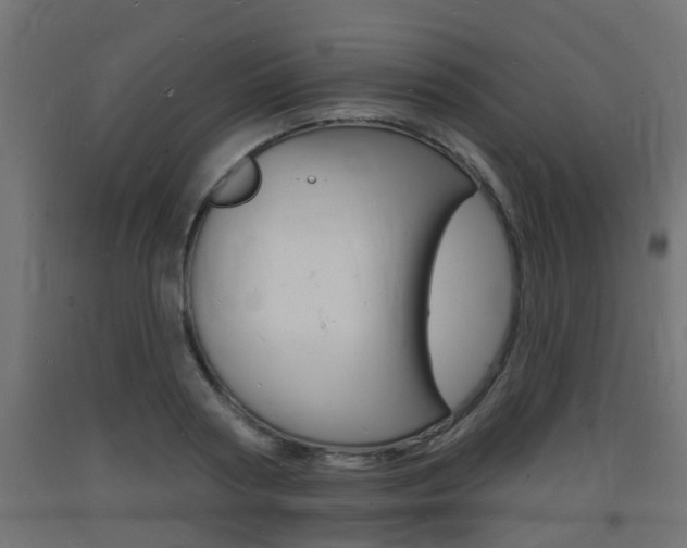 X0000093720794200710160749