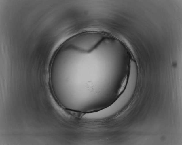 X0000093720795200710160749