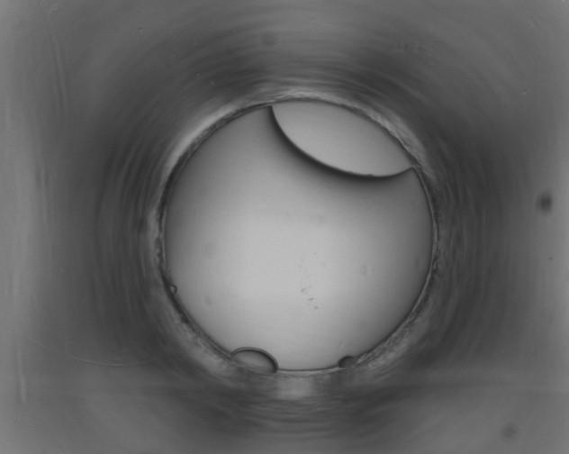 X0000093720798200710160749