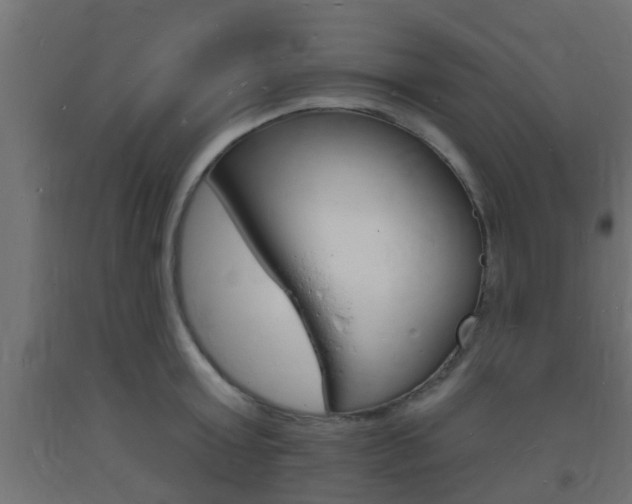 X0000093720803200710160749