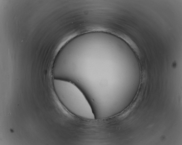 X0000093720806200710160749