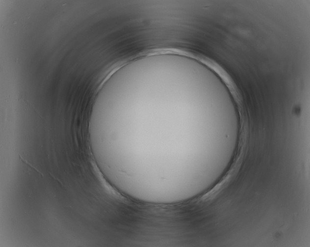 X0000093720809200710160749