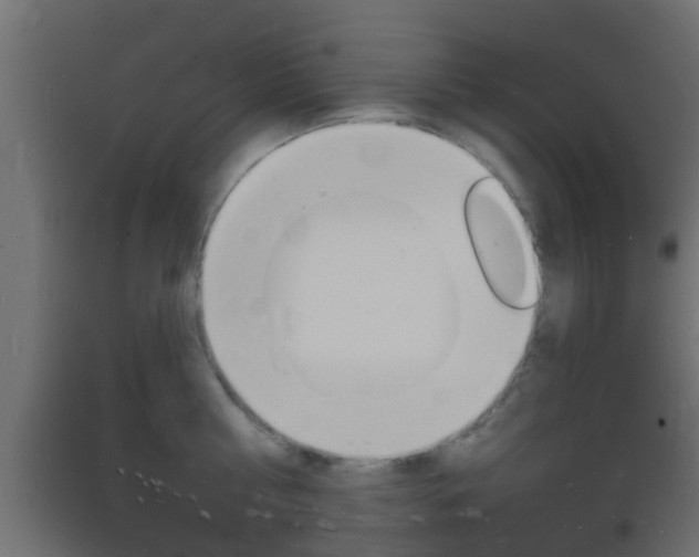 X0000093720810200710160749