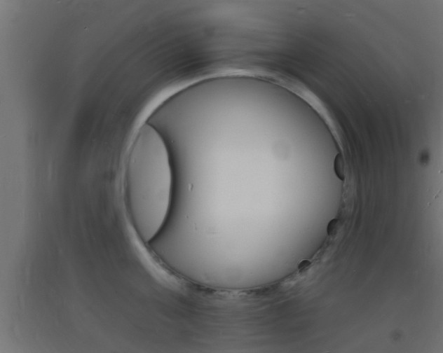 X0000093720811200710160749