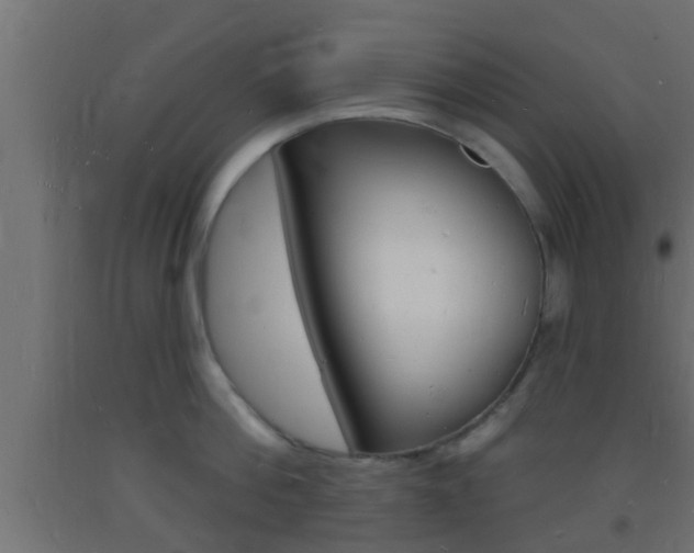 X0000093720812200710160749