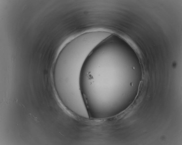 X0000093720813200710160749