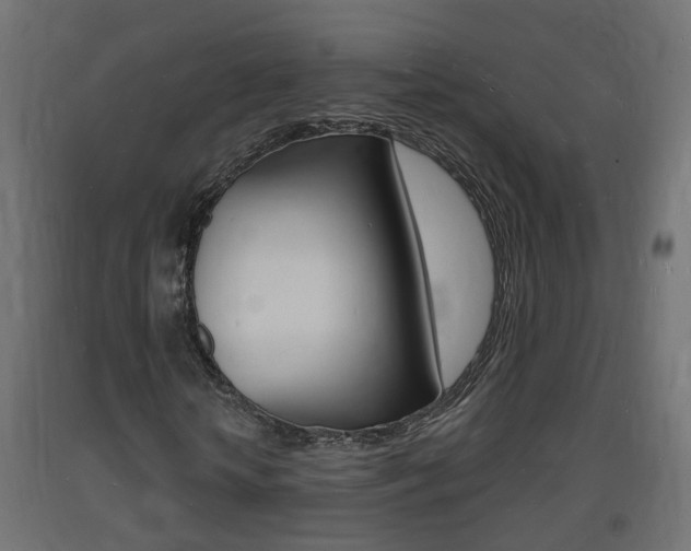 X0000093720818200710160748